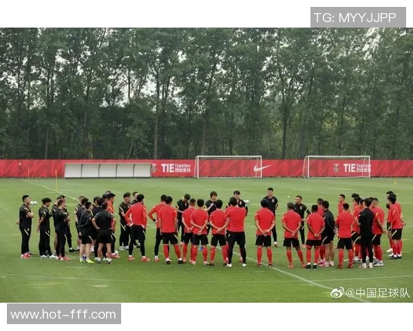 足球大师球员大全全面解析各国顶级球员与传奇人物的精彩瞬间与成就